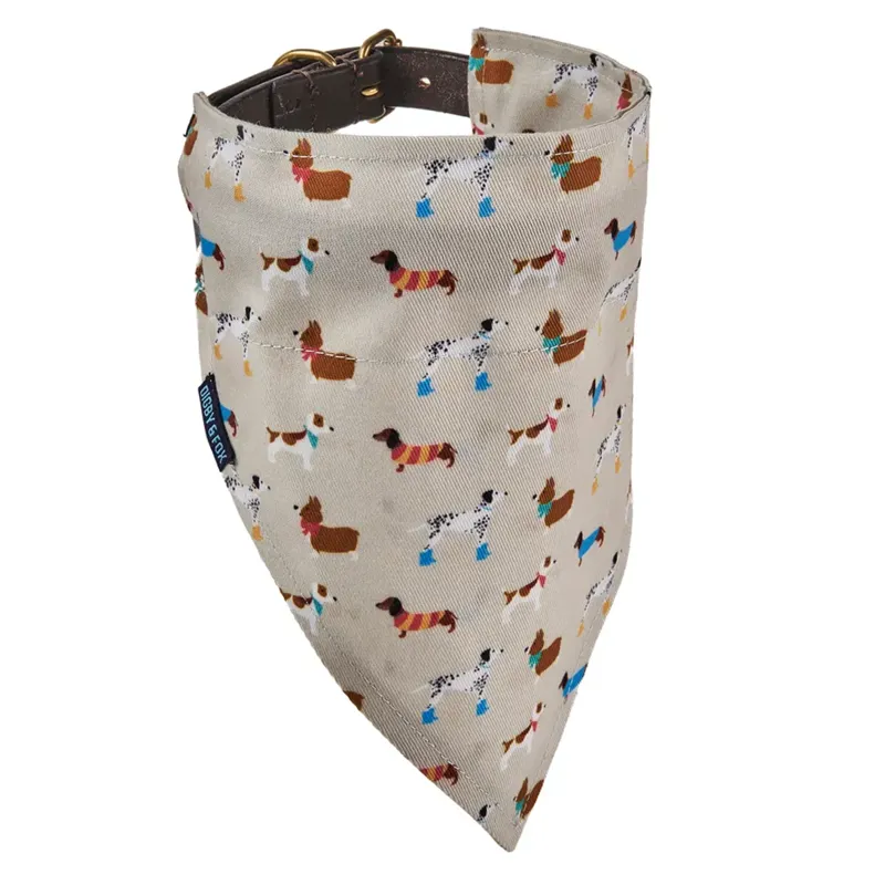 Shires Digby and Fox Bandana - Dogs